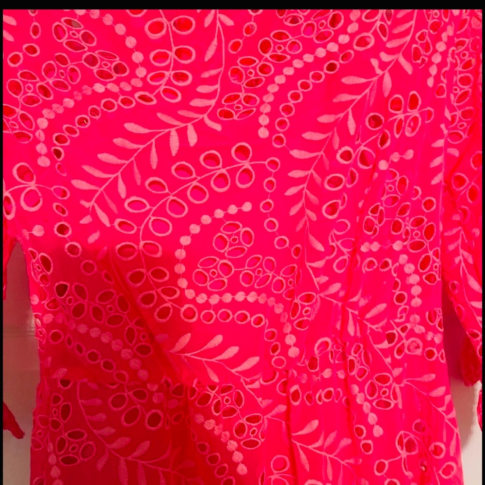 Lilly Pulitzer Amrita Pink Maxi Dress - Picture 6 of 6